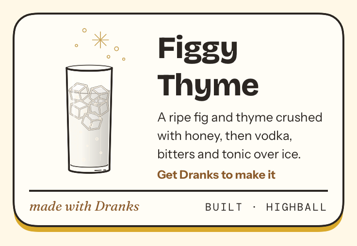Drawing of Figgy Thyme